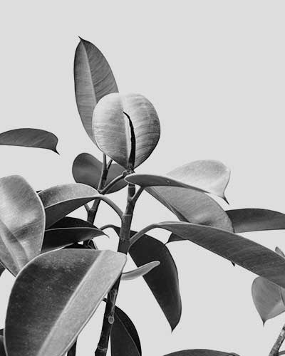 BEST DIGITAL MARKETER